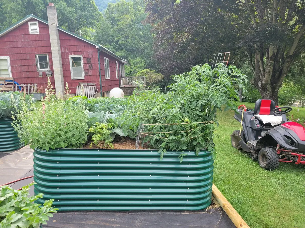 nossta_news_single20230628_6