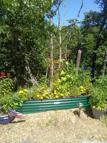 nossta_news_single20230628_6_1