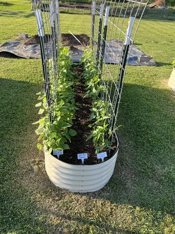 nossta_news_single20230628_7_1