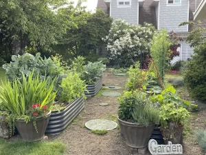 nossta_news_single20230628_9