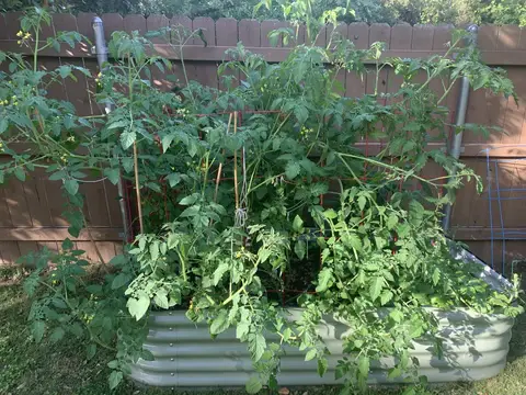 nossta_news_single20230628_9_2