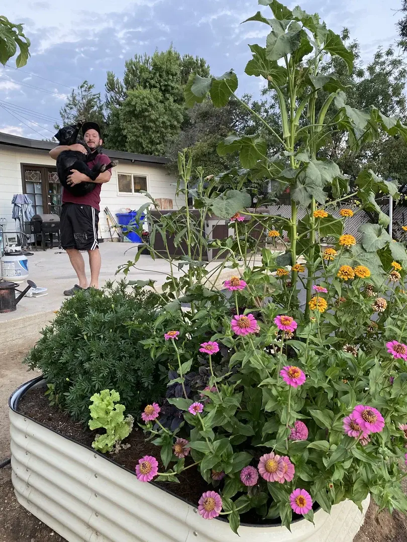 nossta_news_single20230702_10