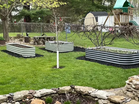 nossta_news_single20230702_11_1