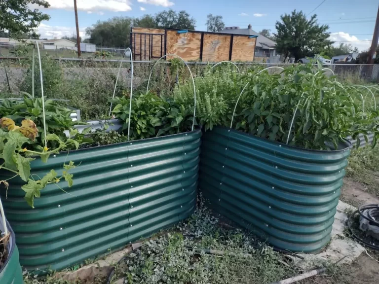 Raised Garden Bed Plans Img