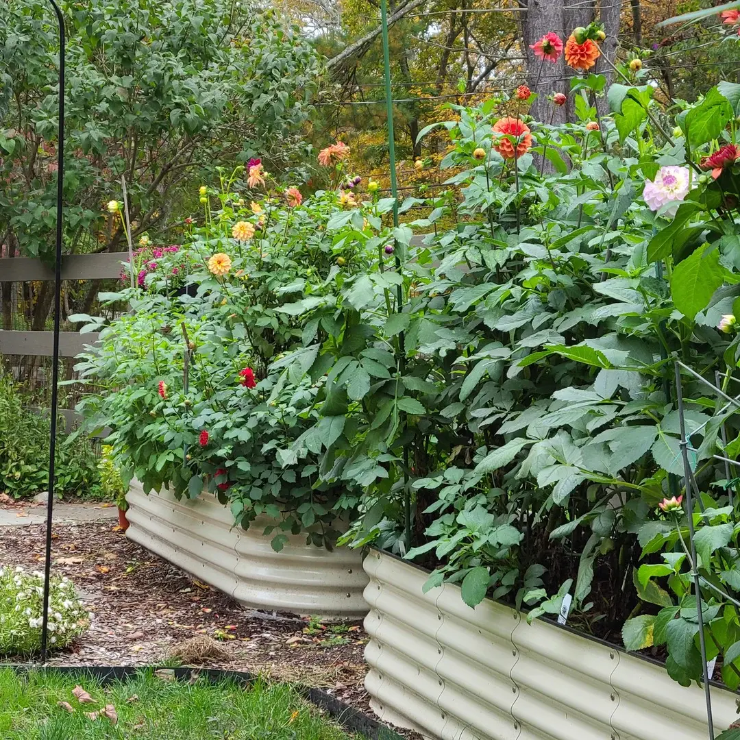 Raised Garden Bed Plans Img