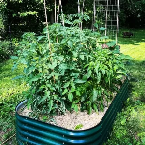 Raised Garden Bed Plans Img