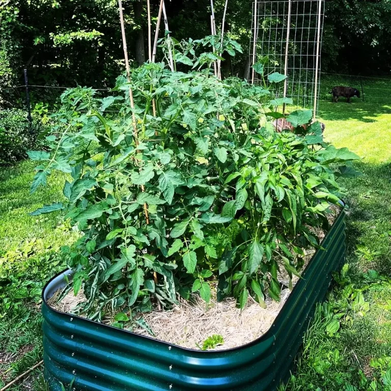 Raised Garden Bed Plans Img