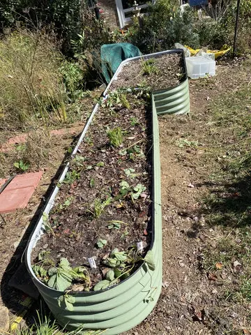 Raised Garden Bed Plans Img