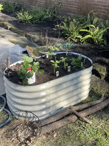 Raised Garden Bed Plans Img